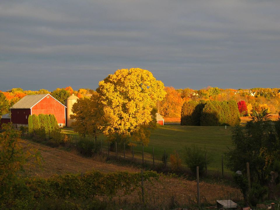 Autumn Farm Sanctuary